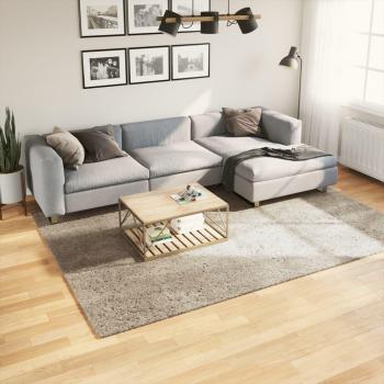 Alfombra larga pulida efecto beige 200x280 cm