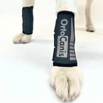 Muñequera Ortocanis para Perro - Protector de Articulación del Carpo - Previene y Trata Lesiones, Artrosis, Ligamentos y Tendones - Neopreno ARD - Talla XL 20-22 cm