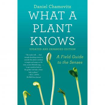 What a Plant Knows: A Field Guide to the Senses: Updated and Expanded Edition