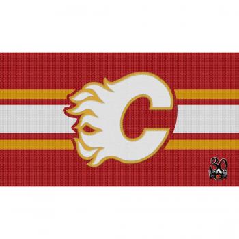 Calgary Flames (43x24 inch, 107x60 cm) Silk Poster Seda Cartel PJ15-E504