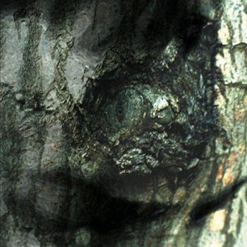 Yann Tiersen - The Waltz of the Monsters (Vinyl LP)