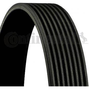 Correa acanalada en V CONTINENTAL CTAM 8PK1310 EXTRA