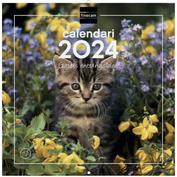 Calendario de Pared Finocam 2024 Gatitos Catalán 30x30 cm Enero-Diciembre (12 Meses)