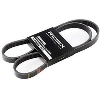Correa Poli-V RIDEX 305P0249 para BMW, FIAT y TOYOTA - Compatible con modelos E32, E31, Doblo Cargo (223_), Strada Pickup (178_)