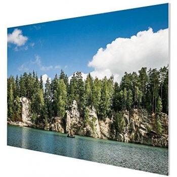 Pantalla de Proyección Celexon Expert PureWhite 200 x 150 cm, Marco Fijo, Formato 4:3, Ganancia 1.1