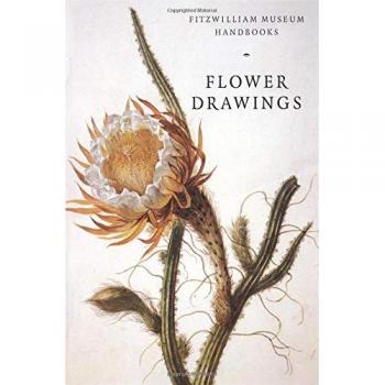 Dibujos de Flores - Manual del Museo Fitzwilliam