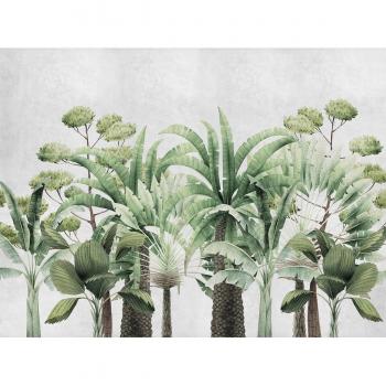 Papel pintado autoadhesivo palmeras fondo gris 400x300cm