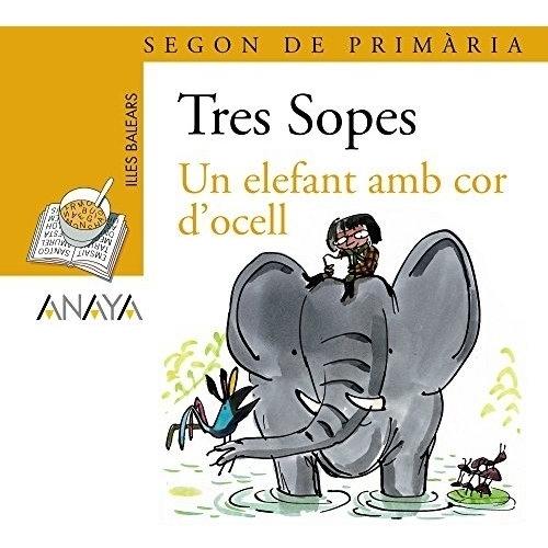 Imagen Principal