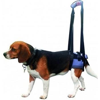 Arnés de Mano para Perros con Parálisis - Handy Canis Talla L, Negro, Plástico