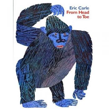 From Head To Toe Big Book