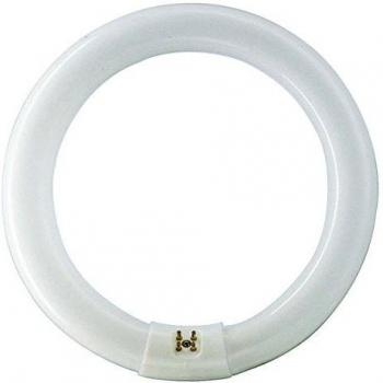 Philips Master TL-E 32W 830 Lámpara Fluorescente Circular G10q Luz Cálida