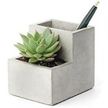 Kikkerland PL02-S - Macetero para hormigón, pequeño