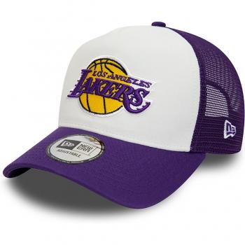Gorra New Era LA Lakers Team Colour Block Trucker