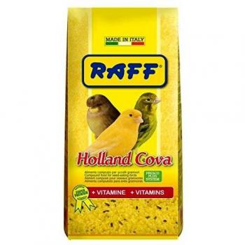 RAFF Holland Cova 300 g Pastoncillo suave
