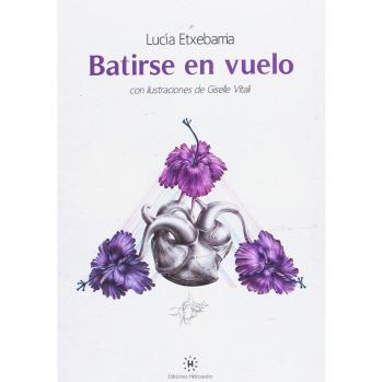 Batirse en vuelo - Lucía Etxebarria