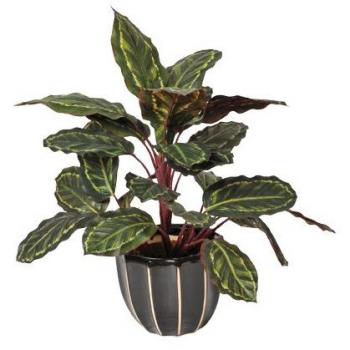 Catral Planta Artificial CALATEA Cebra 49 CM