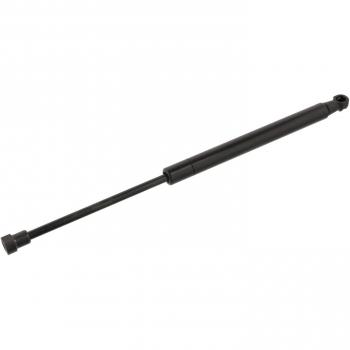 Amortiguador de Maletero FEBI BILSTEIN 34438 para Citroen C5, Gasfeder para Heckklappe, Dämpfer de maletero izquierdo/derecho