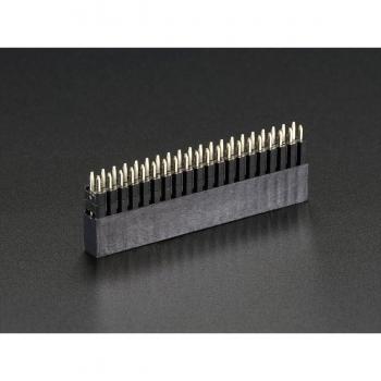 AdaFruit GPIO Header for Raspberry Pi B+ - Tall 2x20 Female Header