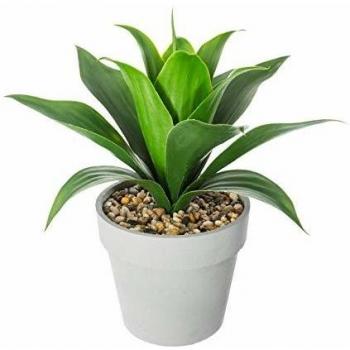 Planta Artificial Aloe Vera 34 cm en Vaso Decorativo