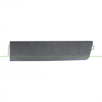 Listón embellecedor protector para puerta PRASCO FT9301456