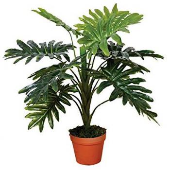 Catral Planta Artificial FILODENDRO 70 CM