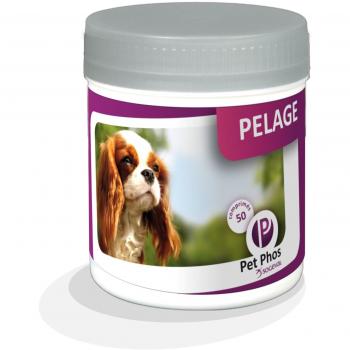 Complemento Alimenticio Pet-Phos para el Pelaje del Perro - 50 Comprimidos