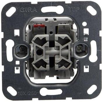 GIRA 015800 Rocker, blind Insert