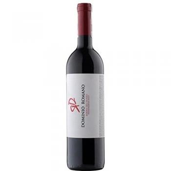 Dominio Romano Ribera del Duero Espana