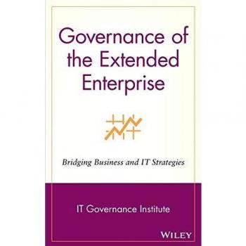 Extended Enterprise Governance: Bridging Business and IT Strategies Hardcover