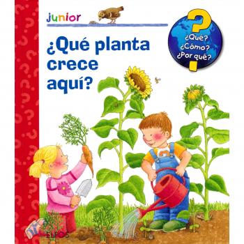 ¿Qué planta crece aquí?