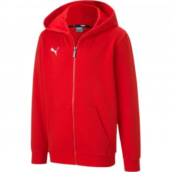 Puma Team Goal 23 Casuals Children's Hooded Sweatshirt