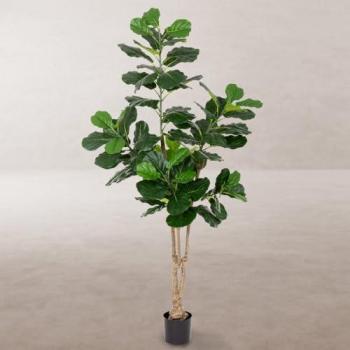 Planta Decorativa de Ficus 175 cm de Poliuretano y Cemento con Hojas de Tela, estabilizador UV
