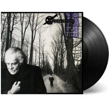 Into The Mirror Black - 180g Vinyl LP