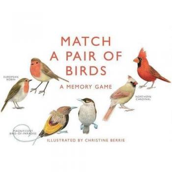Match a Pair of Birds