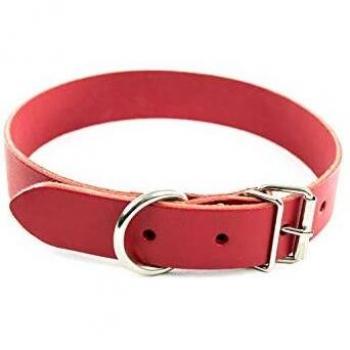 Collar de perro de cuero con correa Martin Sellier, tamaño 36, ideal para paseos