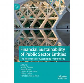 Financial Sustainability of Public Sector Entities: The Relevance of Accounting Frameworks