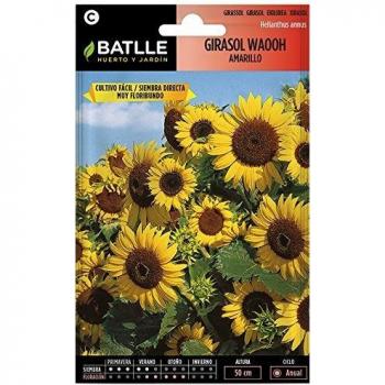 Girasol Wahoo Amarillo
