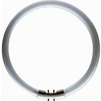 Philips MASTER TL5 40W 830 Circular