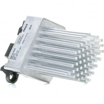 Cepillo de Repuesto para Limpiador de Juntas Einhell 3424115 - Acero y Nylon, Pack de 2