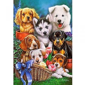 Puzzle Cachorros 1000 Piezas - Castorland