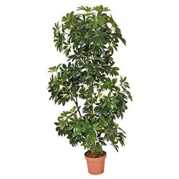 Catral Planta Artificial CHEFLERA 145 CM