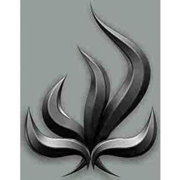 Black Flame