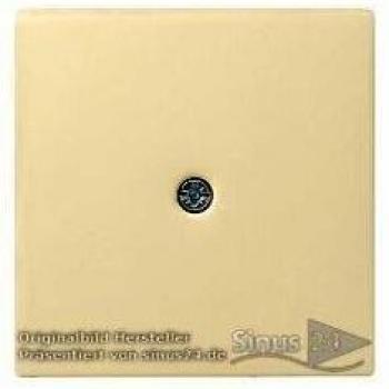 Gira Central Cover Plate 027401 - Network Accessory