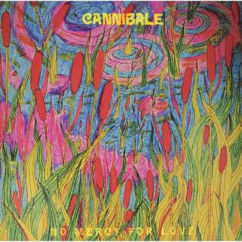 Vinilo Sin Piedad por el Amor