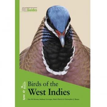 Birds Of The West Indies