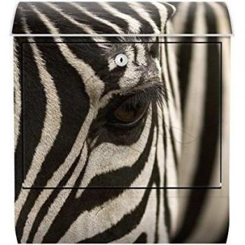 Buzón de pared Zebra Ojo Visión Animales Safari Wildnis África Mundo de impresión Art Modern - No. 9
