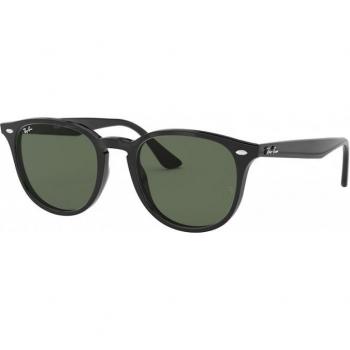 Ray-Ban RB4259F Asian Fit 601/71 Unisex Panthos Black Sunglasses