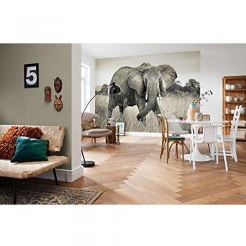 Komar XXL529 - Papel pintado fotográfico