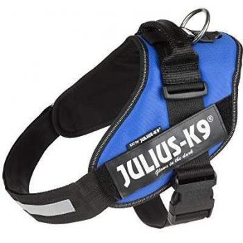 JULIUS-K9 16IDC Power Harness