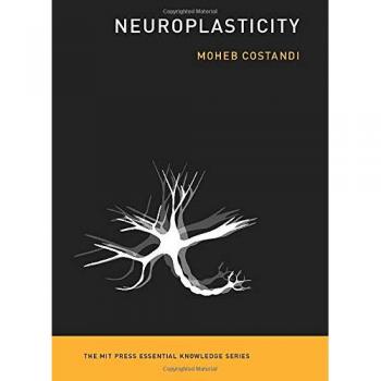 Neuroplasticity